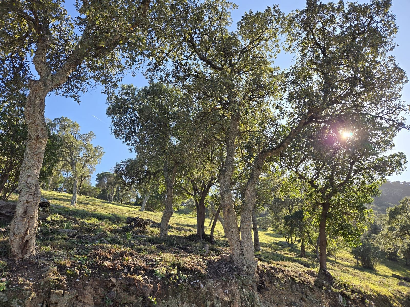 Randonnée dans le Gaou