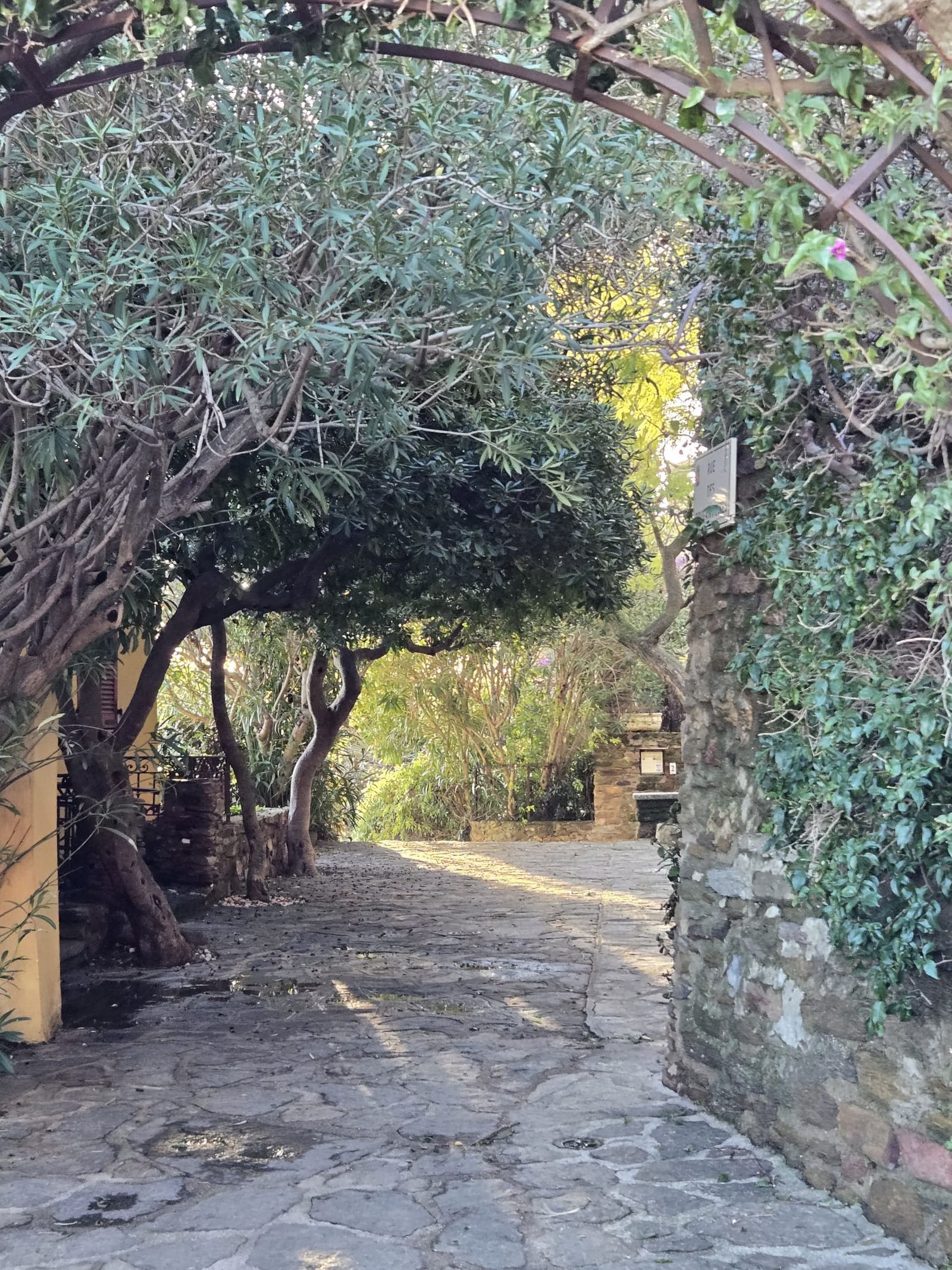 Village de Bormes-les-Mimosas